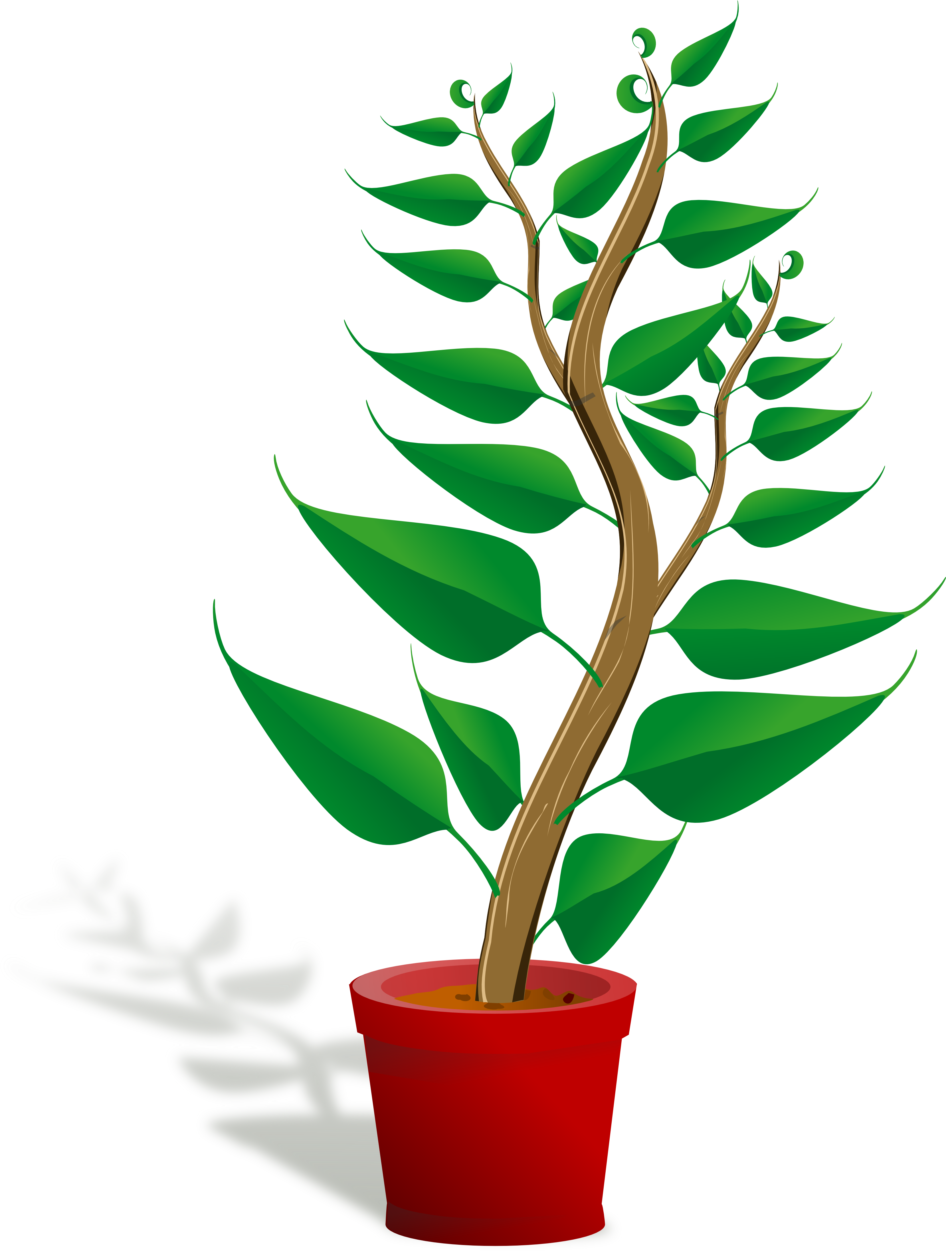Pot Plant Clipart Planter - Plant Clip Art Png (3333x4384), Png Download