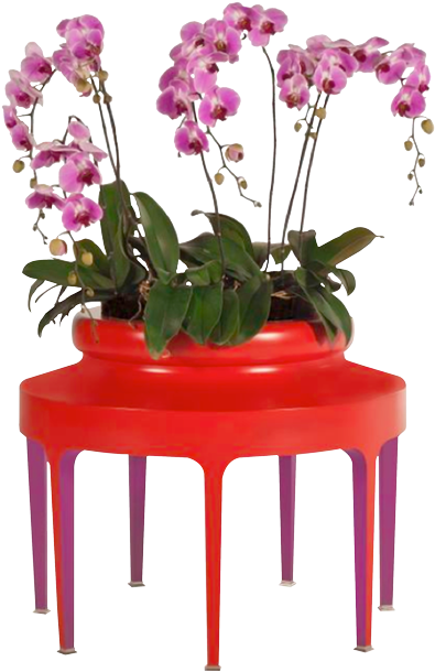 Jarchidee Planter Orchidee Jardiniere - Elle Decoration (600x719), Png Download