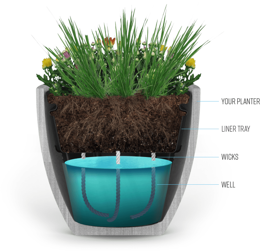 Our Liner Will Convert An Old Fashioned Planter Into - Flowerpot (846x814), Png Download