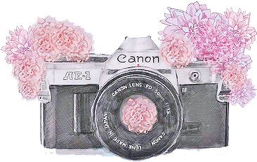 Canon, Camera, And Flowers Image - Canon Camera Drawing (491x282), Png Download