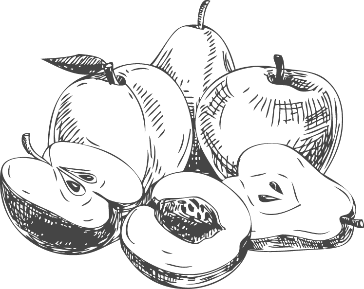 Personal Favorites That Can Help You Live Your Best - Fruits Sketch Png (747x594), Png Download