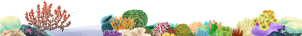 Coral Reef Png - Coral Reef (1000x320), Png Download
