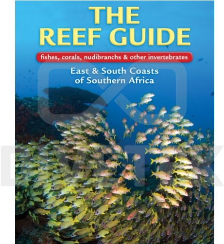The Reef Guide - Reef Guide (500x500), Png Download
