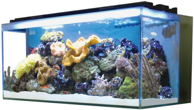 Designed With Clean Lines And A Contemporary Finish, - Fluval Reef M90 (400x400), Png Download