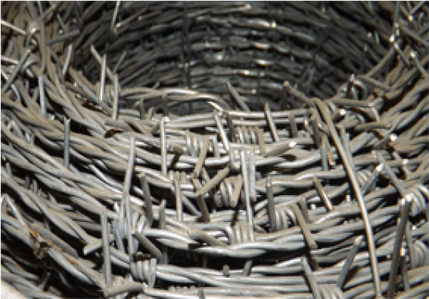 Barbed Wire (600x600), Png Download