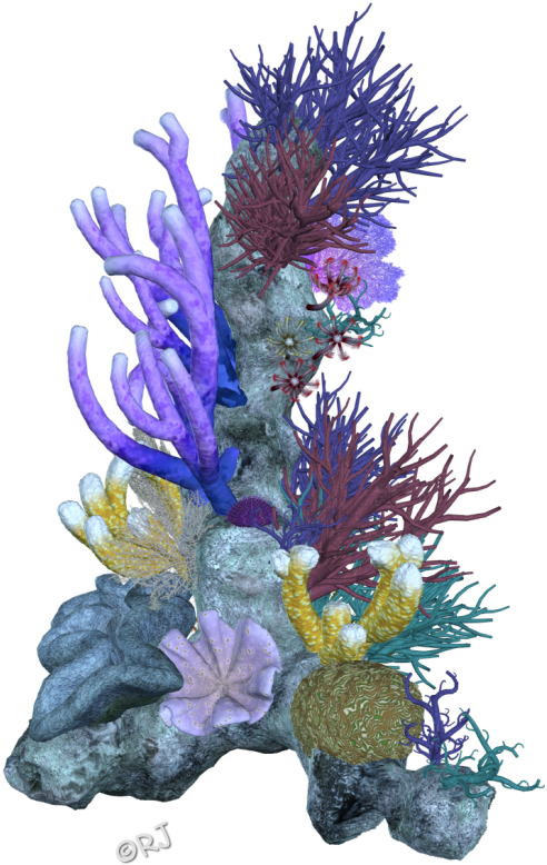 Pin Coral Reef Clipart Png - Coral Reefs Png (510x800), Png Download