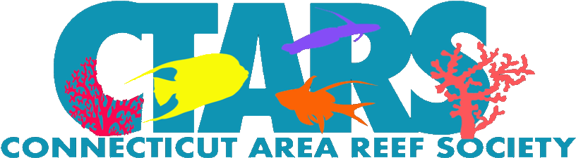 Ctars New Logo No Background 2 - Portable Network Graphics (855x262), Png Download