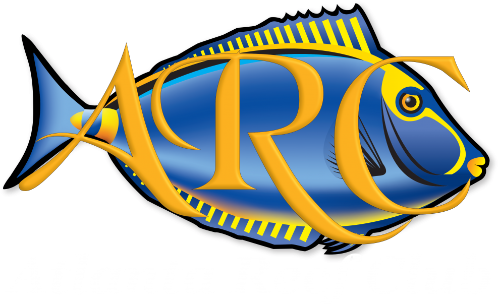 Atlanta Reef Club - Library (987x605), Png Download