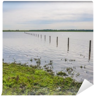 Flooded Grassland With A Barbed Wire Fence Wall Mural - Fence (400x400), Png Download