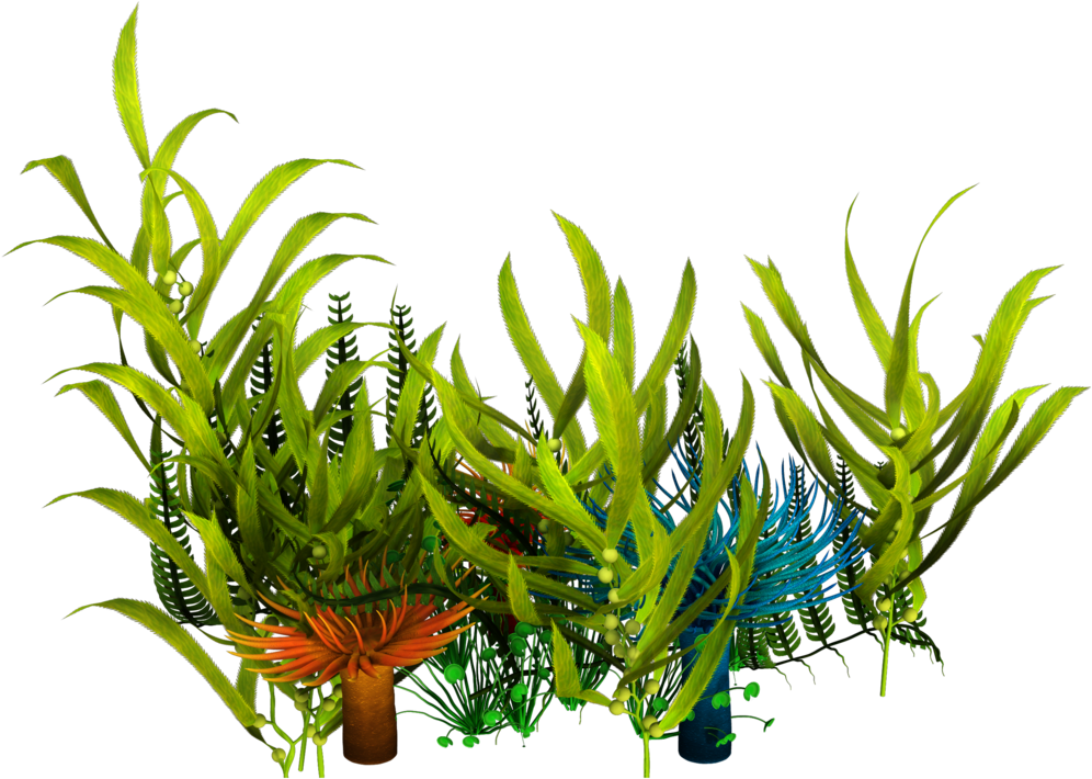 Underwater Seaweed Png (1024x745), Png Download