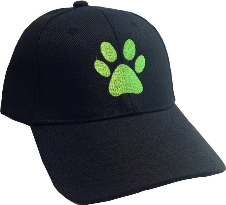 Cat Noir Embroidered Cap - Adrien Agreste (855x747), Png Download