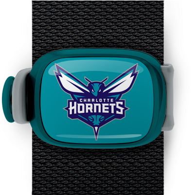 Charlotte Hornets Stwrap - Charlotte Hornets 12-in Cutout 1 Per Pkg ( 6 Pkgs Per (550x400), Png Download
