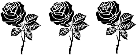 Black Png Tumblr - Punk Tumblr Png (500x295), Png Download