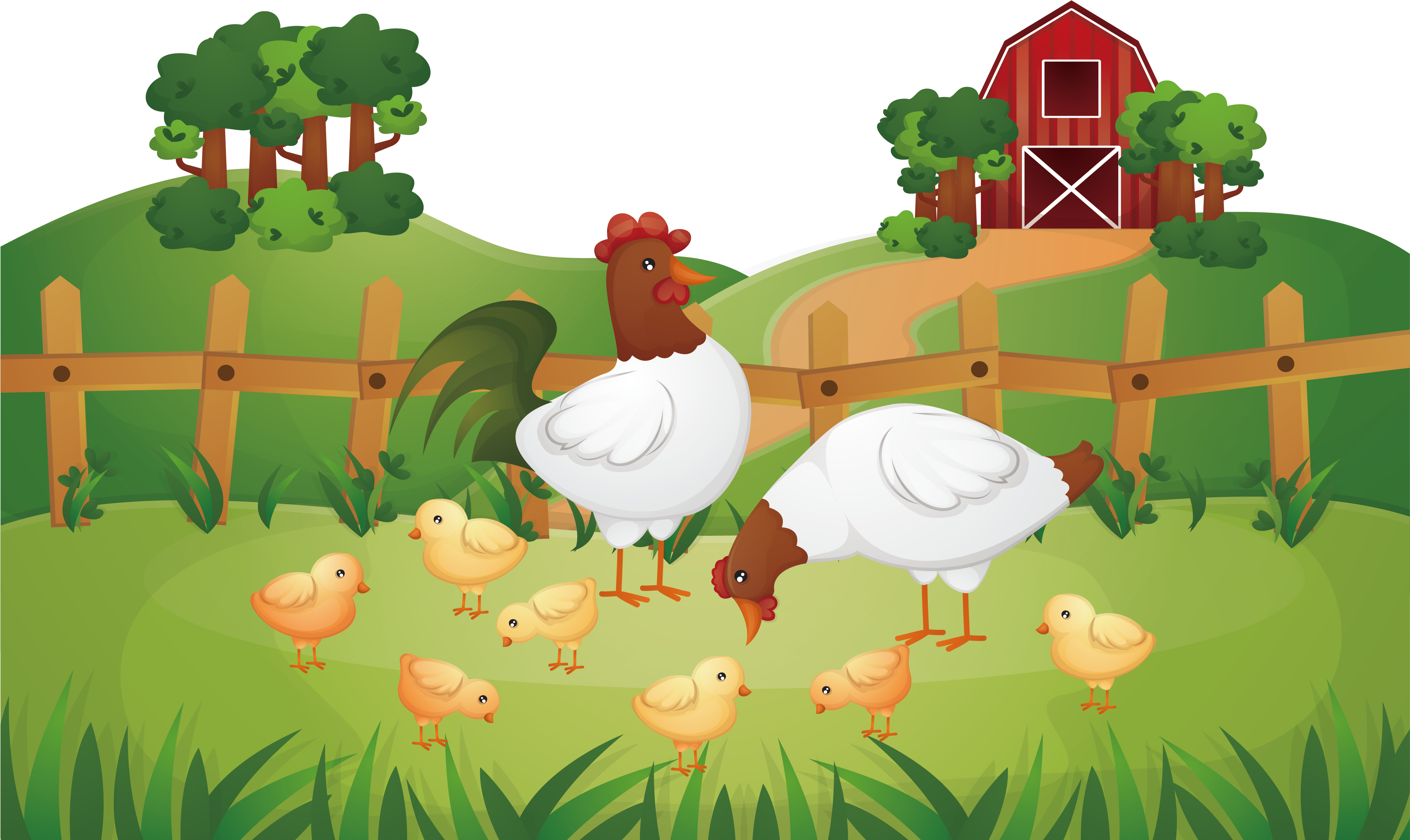 Animal Farm Chicken Rooster Poultry Farming - Chicken Farm Illustration (4354x2742), Png Download