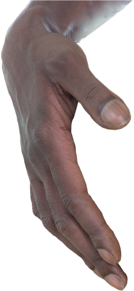 Post - Human (495x955), Png Download