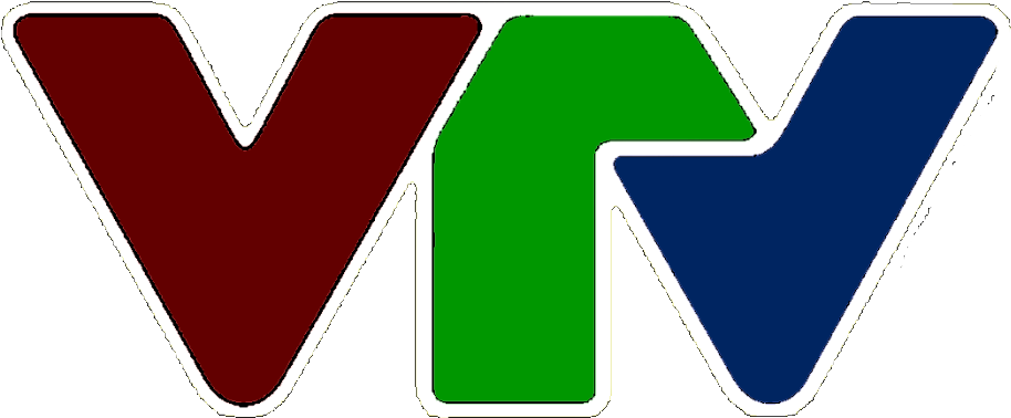 Vietnam Television Logo - Vtv8 (1305x648), Png Download