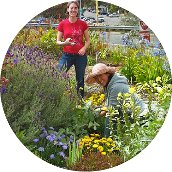 What Is Sf Plant Finder - San Francisco (355x355), Png Download