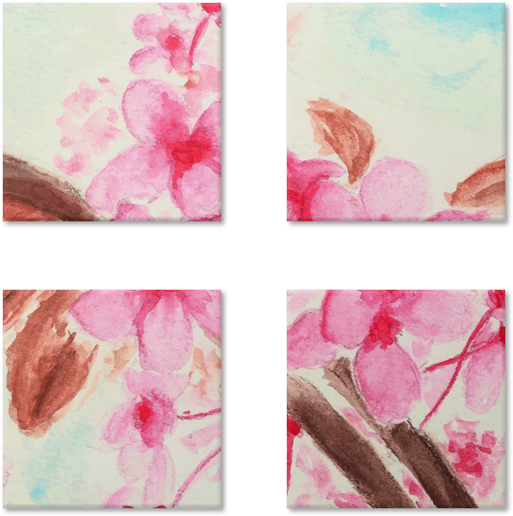 Magneto Flores De Drisa Lojana - Watercolor Painting (800x800), Png Download