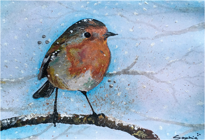 European Robin (800x800), Png Download