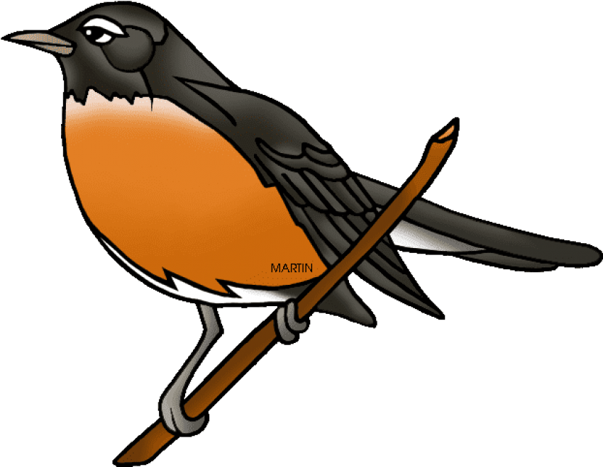 Robin Clipart Small Bird - Robin Clipart (648x511), Png Download