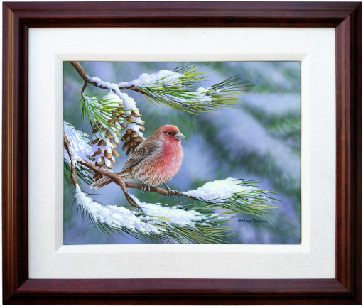 Winter Perch - House Finch - Original Artwork - Ptaki Zima Na Pulpit (600x600), Png Download