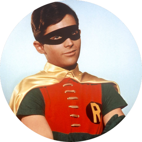 Central Jersey Woodworkers Association - Burt Ward Naked Penis (500x500), Png Download