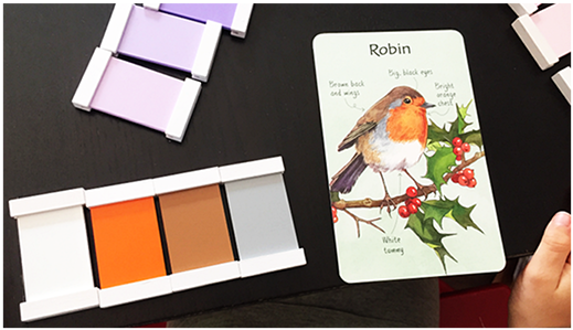 For Home & Classroom - European Robin (600x343), Png Download