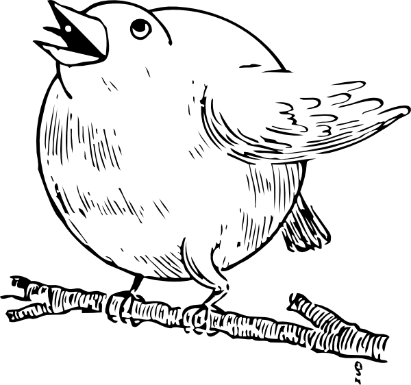 Free Vector Round Robin Clip Art - Round Robin Bird Png (600x562), Png Download