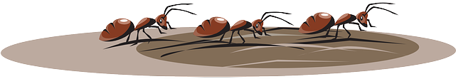 Cartoon, Walking, Insects, Travel, Dirt, Ants - Pharaoh Ant (640x320), Png Download