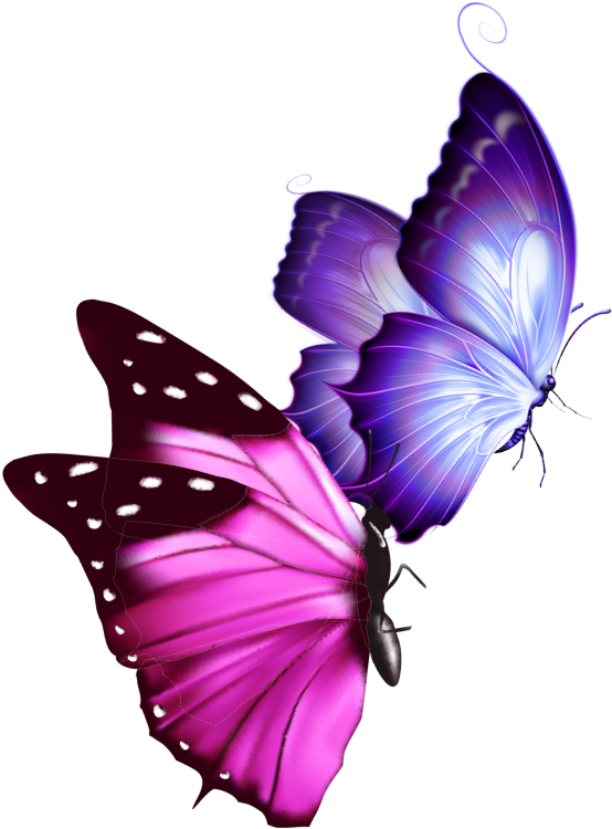 Mq Sticker - Papilio (1024x1024), Png Download