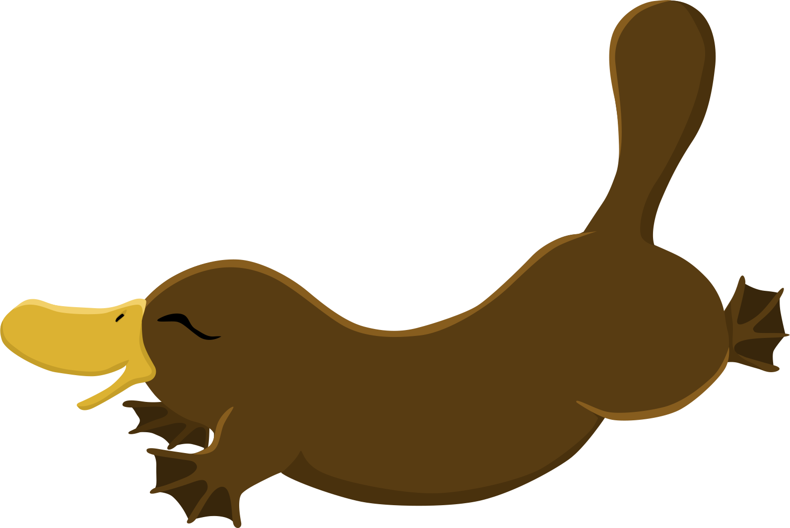 Fabric/ Surface Design With A Platypus (1592x1064), Png Download