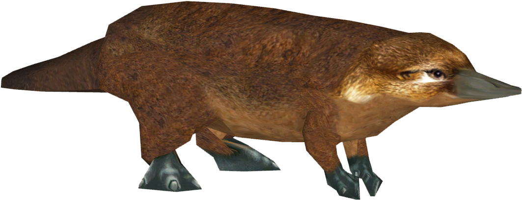 Download Platypus PNG Image with No Background - PNGkey.com