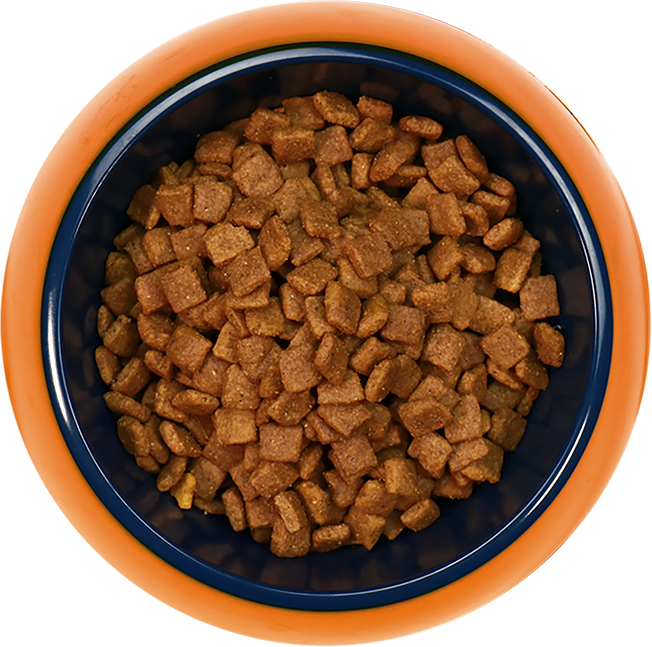 Find Your Recipe Food Bowl - Breakfast Cereal (652x647), Png Download