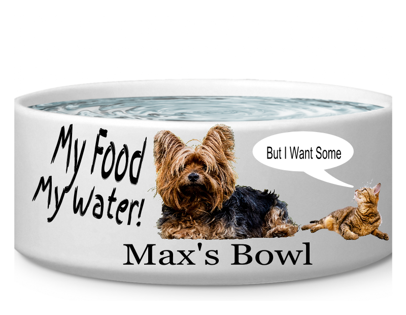 Australian Silky Terrier (800x800), Png Download