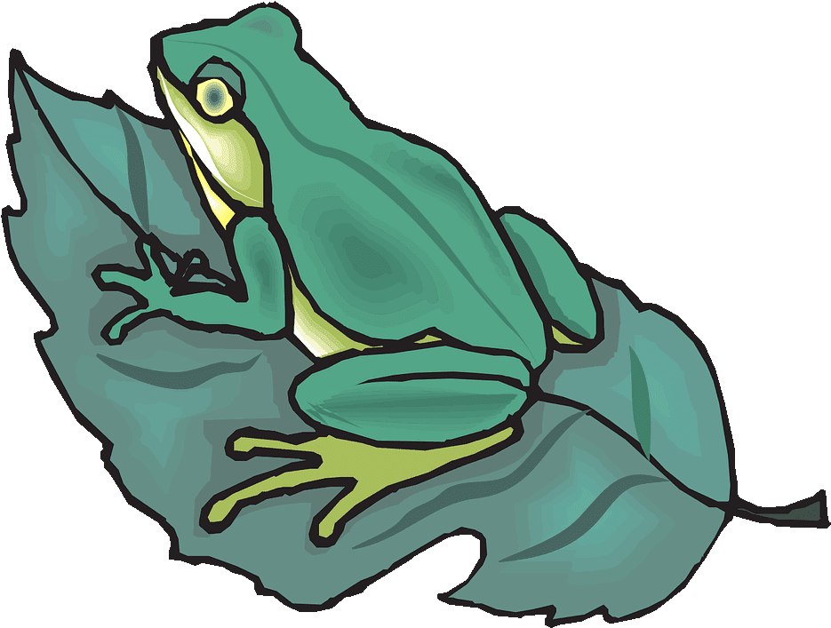 Don't Want It On The Leaf - Frog On Leaf Clipart (1280x706), Png Download