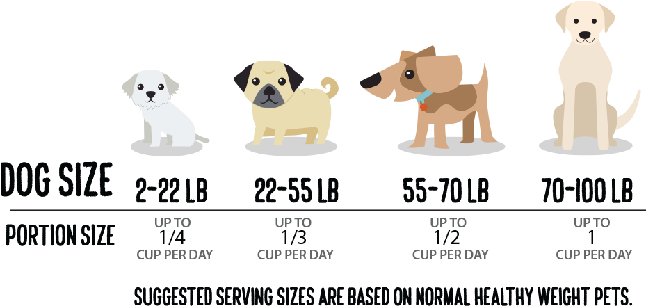 Slim'dog Portion Picker - Companion Dog (1046x536), Png Download