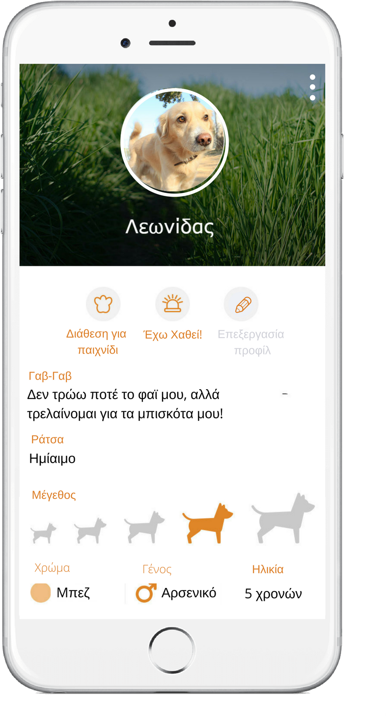 Now You Can Find At Any Any Time Your Furriend's Position - Labrador Retriever (871x1500), Png Download