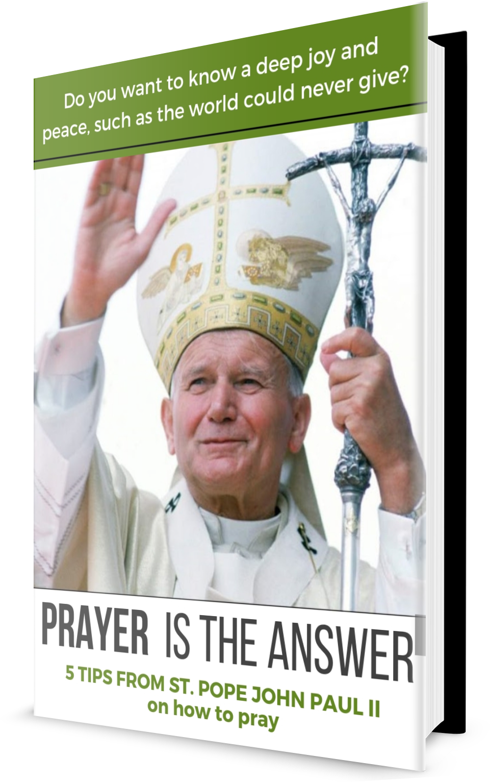 Pope John Paul Ii - Pope John Paul Ii Popes (1300x1700), Png Download