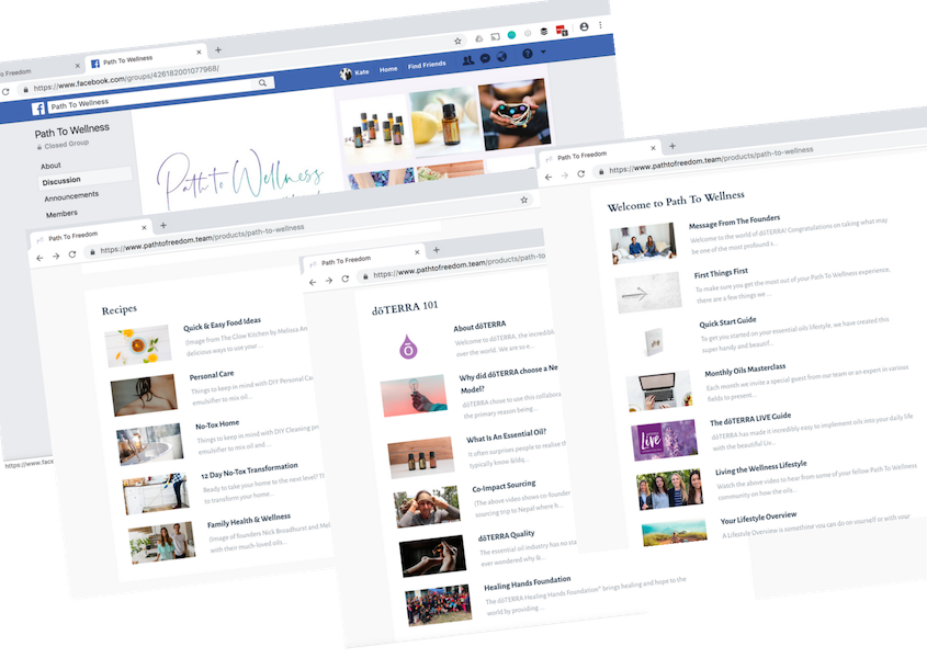 Path To Wellness - Web Page (845x600), Png Download