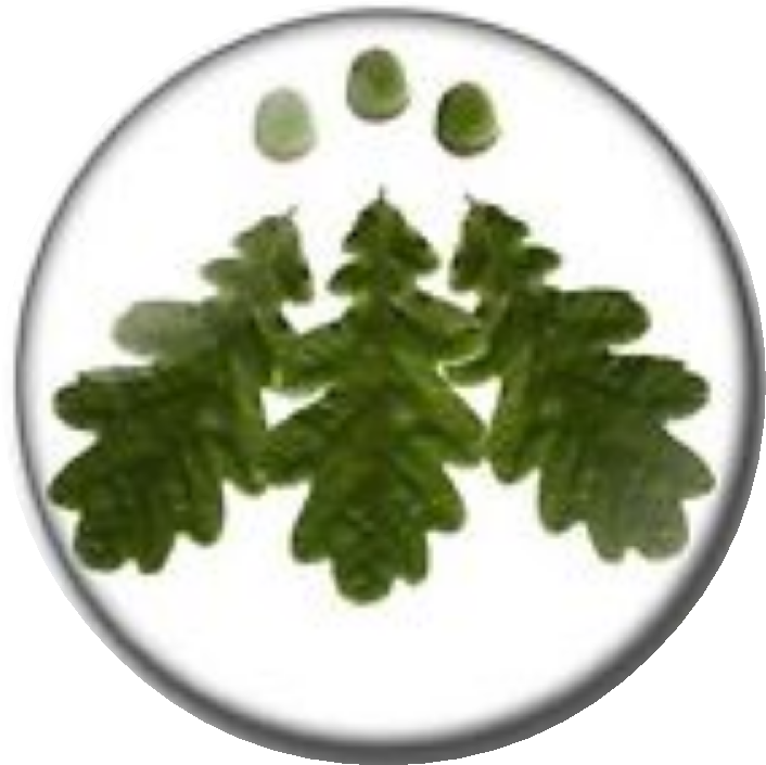 Circle (720x776), Png Download