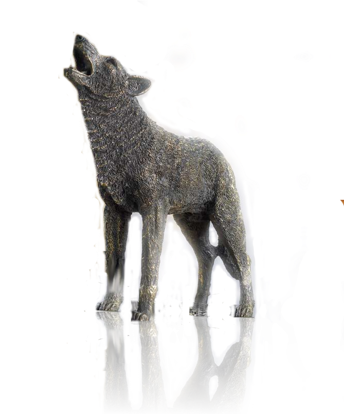 Wolf Big - Sheep (668x821), Png Download