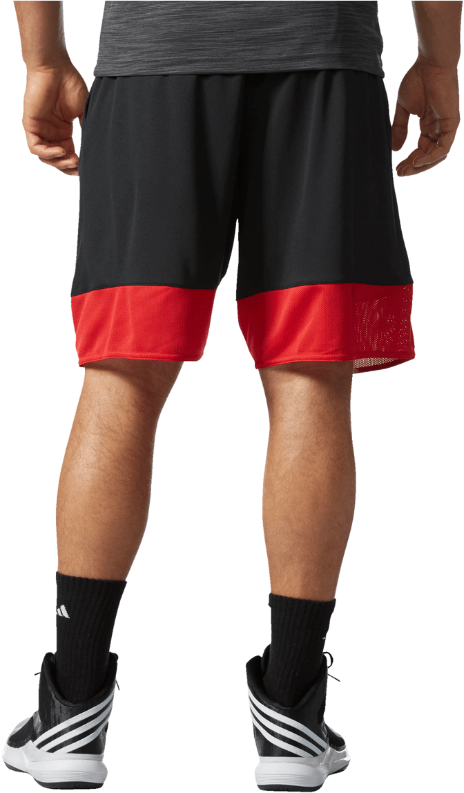 Adidas Chicago Bulls Shorts - Board Short (1200x1200), Png Download