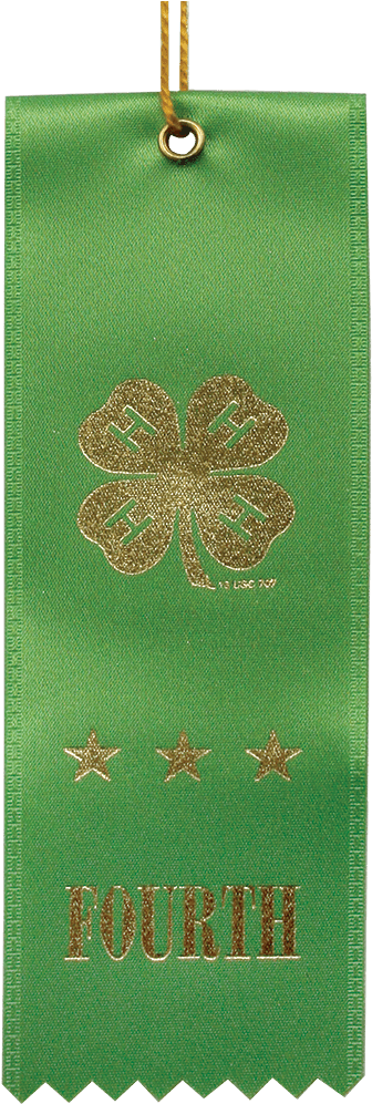 Green Fourth Place Ribbon - Christmas Ornament (1028x1028), Png Download