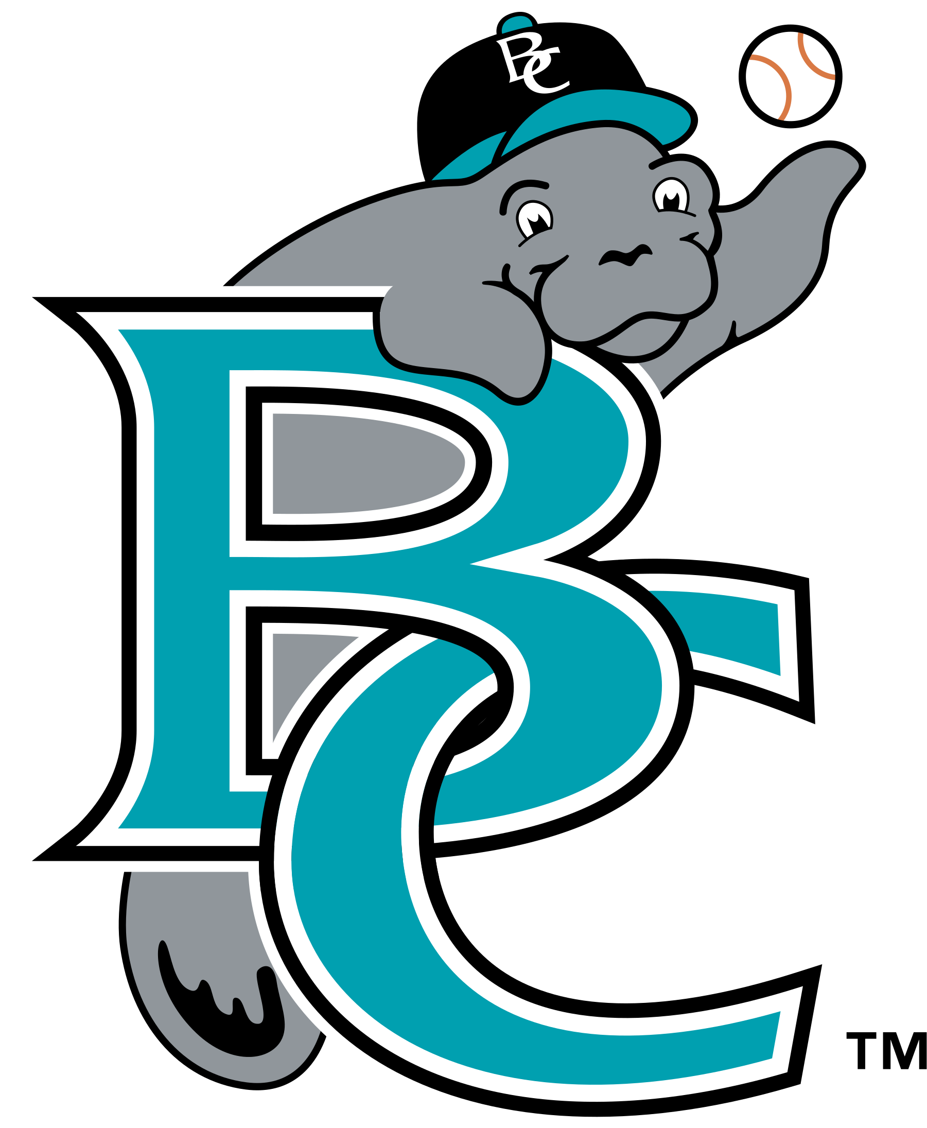 Brevard County Manatees Logo Png Transparent Vector - Brevard County Manatees (2400x2400), Png Download