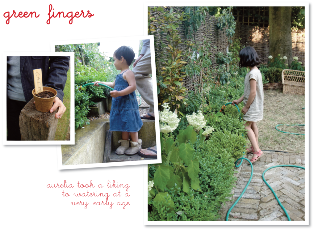 Yard (1024x748), Png Download