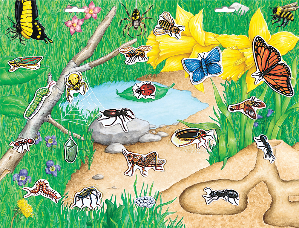 Create A Scene™ Magnetic Bugs™ - Illustration (1000x1000), Png Download