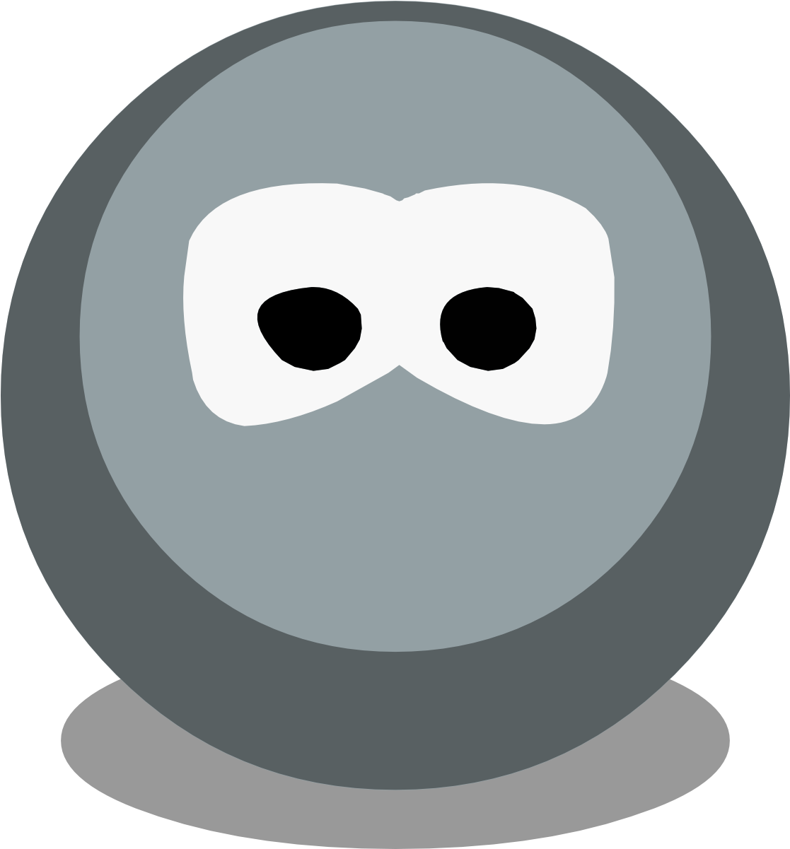 Gray Icon - Camera Icon (1200x1200), Png Download