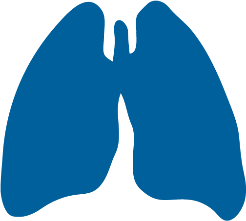 Precision Laboratory Instruments For Pulmonary Research (640x499), Png Download