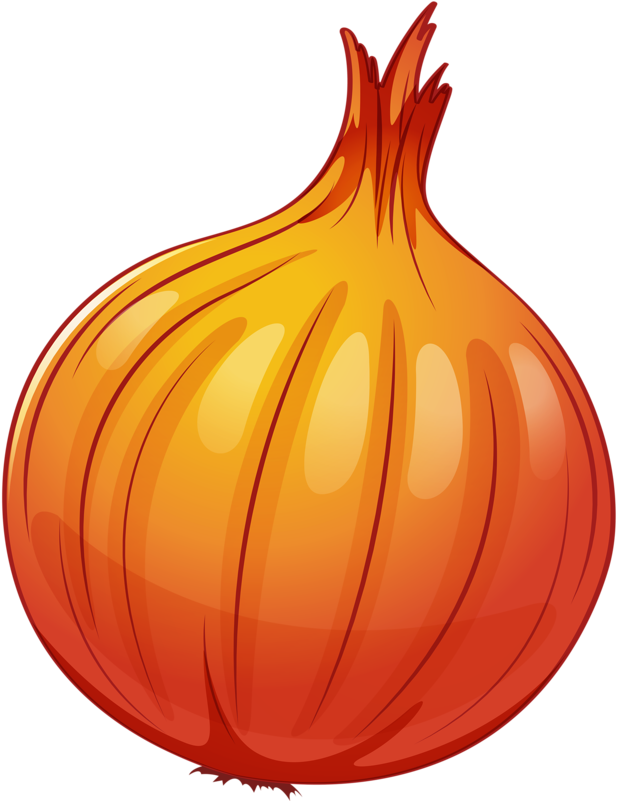Onion Scrapbook Images, Food Clipart, Table Runner - Løg Clipart (639x800), Png Download