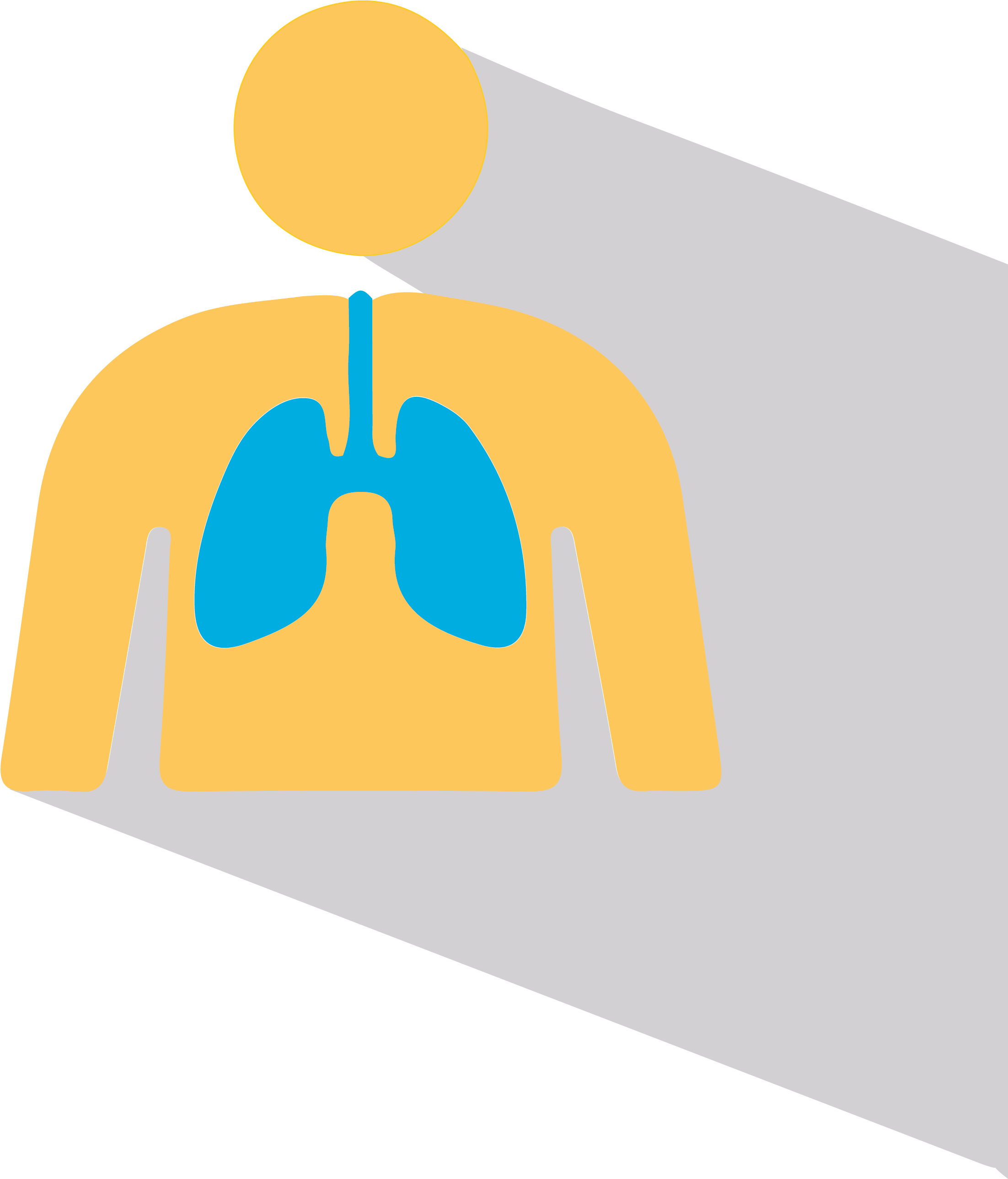 Lungs-01 (2480x2613), Png Download